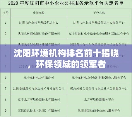 沈陽環(huán)境機(jī)構(gòu)排名前十揭曉，環(huán)保領(lǐng)域的領(lǐng)軍者