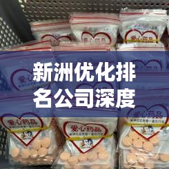 新洲優(yōu)化排名公司深度比較與評估報(bào)告