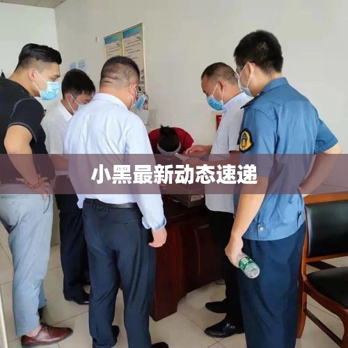 小黑最新動態(tài)速遞