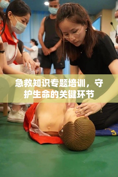急救知識(shí)專題培訓(xùn)，守護(hù)生命的關(guān)鍵環(huán)節(jié)