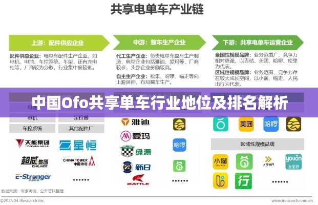 中國Ofo共享單車行業(yè)地位及排名解析