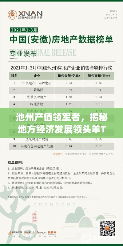 池州產(chǎn)值領(lǐng)軍者，揭秘地方經(jīng)濟(jì)發(fā)展領(lǐng)頭羊TOP10企業(yè)名單