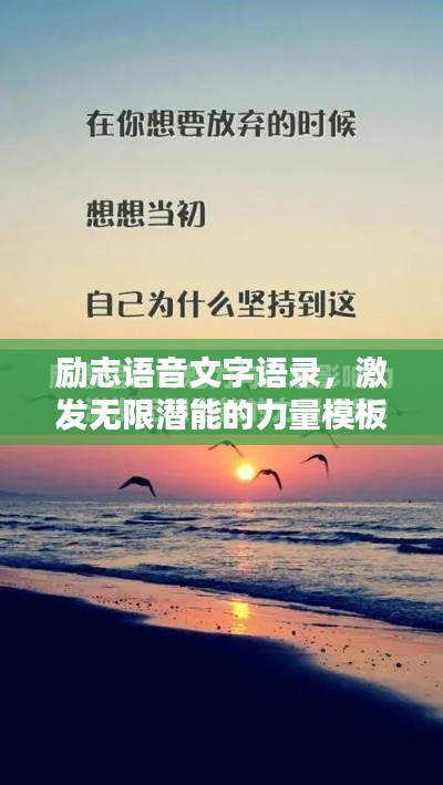 2025年6月15日 第3頁