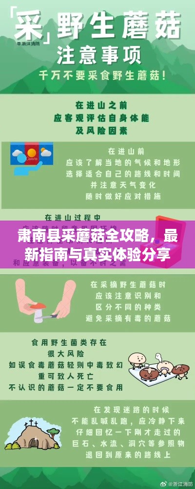 肅南縣采蘑菇全攻略，最新指南與真實(shí)體驗(yàn)分享