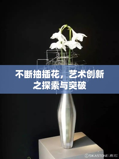 不斷抽插花，藝術(shù)創(chuàng)新之探索與突破