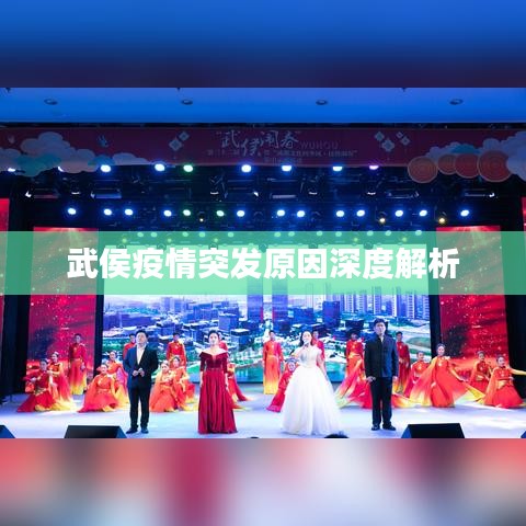 武侯疫情突發(fā)原因深度解析