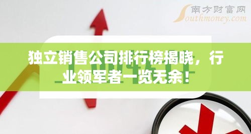 獨(dú)立銷售公司排行榜揭曉，行業(yè)領(lǐng)軍者一覽無(wú)余！
