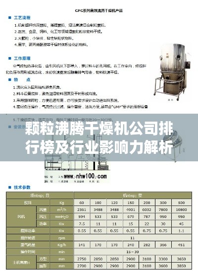 顆粒沸騰干燥機(jī)公司排行榜及行業(yè)影響力解析