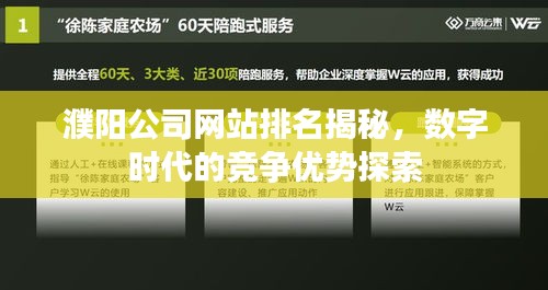 濮陽公司網(wǎng)站排名揭秘，數(shù)字時代的競爭優(yōu)勢探索