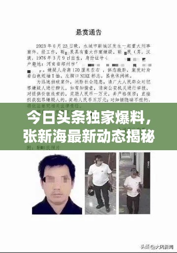 今日頭條獨家爆料，張新海最新動態(tài)揭秘！
