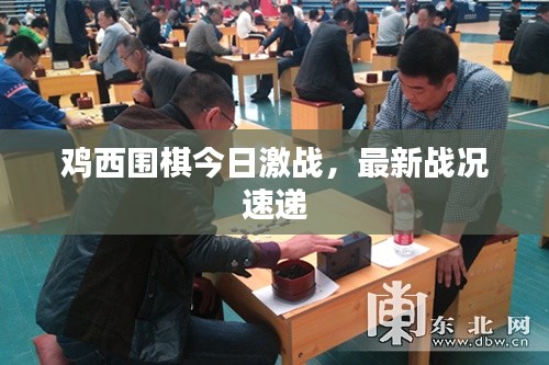 雞西圍棋今日激戰(zhàn)，最新戰(zhàn)況速遞