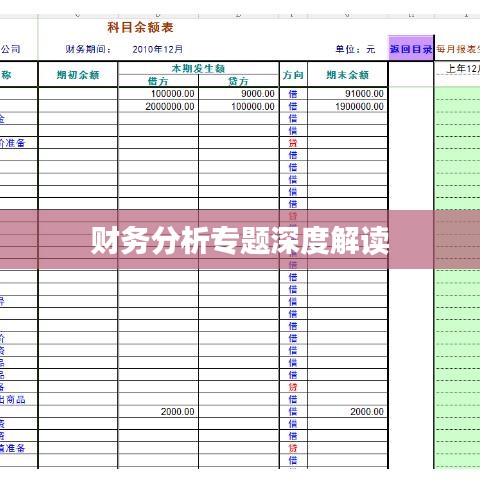 財(cái)務(wù)分析專題深度解讀