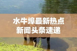水牛埠最新熱點(diǎn)新聞?lì)^條速遞