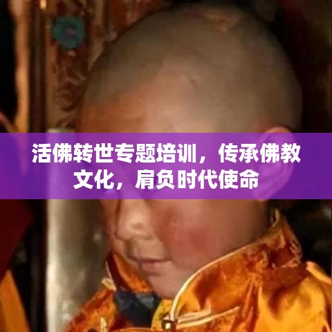 活佛轉(zhuǎn)世專題培訓(xùn)，傳承佛教文化，肩負(fù)時(shí)代使命