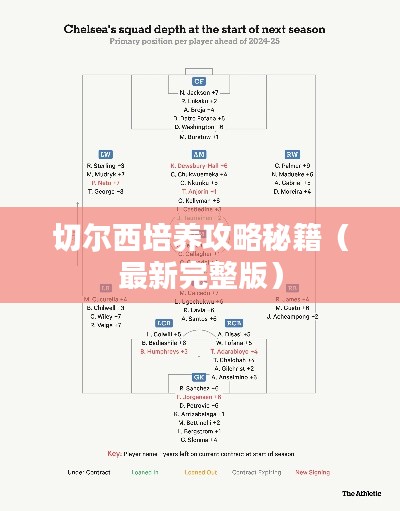 切爾西培養(yǎng)攻略秘籍（最新完整版）