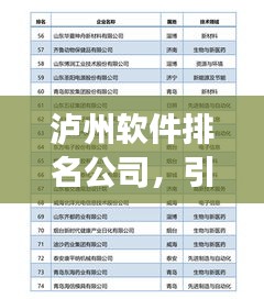 瀘州軟件排名公司，引領(lǐng)行業(yè)發(fā)展的技術(shù)力量標(biāo)桿