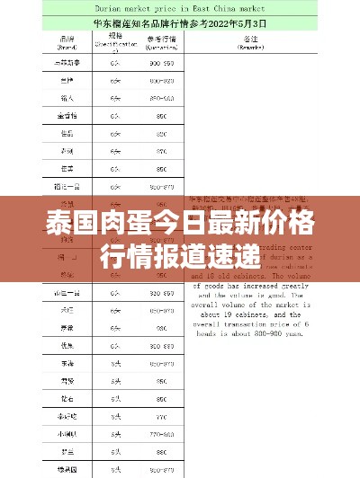 泰國肉蛋今日最新價格行情報道速遞
