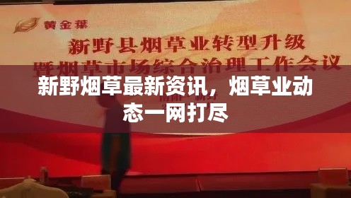 新野煙草最新資訊，煙草業(yè)動態(tài)一網(wǎng)打盡