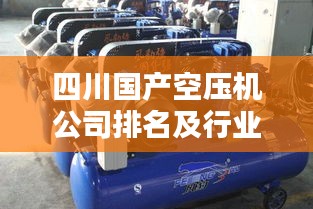 四川國產(chǎn)空壓機(jī)公司排名及行業(yè)影響力揭秘，誰領(lǐng)風(fēng)騷？