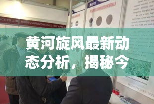 黃河旋風(fēng)最新動態(tài)分析，揭秘今日市場走勢