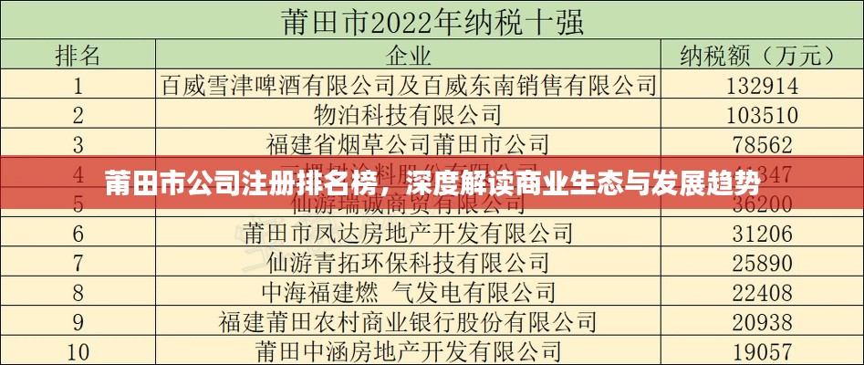 莆田市公司注冊(cè)排名榜，深度解讀商業(yè)生態(tài)與發(fā)展趨勢(shì)