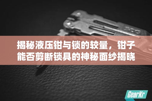 揭秘液壓鉗與鎖的較量，鉗子能否剪斷鎖具的神秘面紗揭曉！