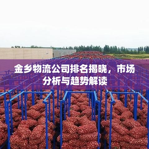 金鄉(xiāng)物流公司排名揭曉，市場分析與趨勢解讀