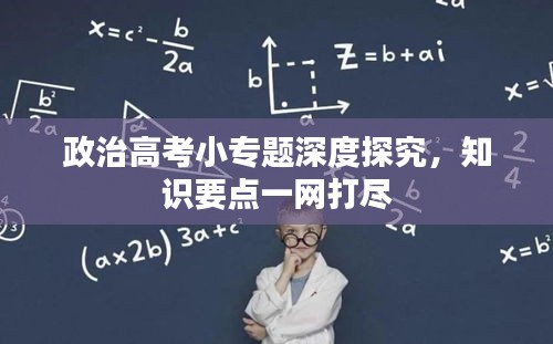 政治高考小專題深度探究，知識要點(diǎn)一網(wǎng)打盡