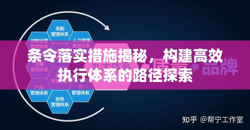 條令落實(shí)措施揭秘，構(gòu)建高效執(zhí)行體系的路徑探索
