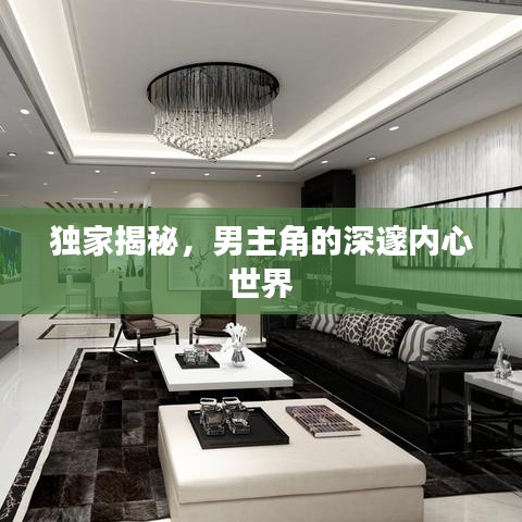 獨家揭秘，男主角的深邃內(nèi)心世界